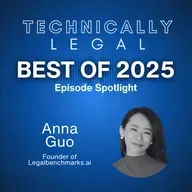 Best of 2025 - Benchmarking Legal AI: Measuring the Delta Between Man and Machine (Anna Guo Legalbenchmarks.ai)