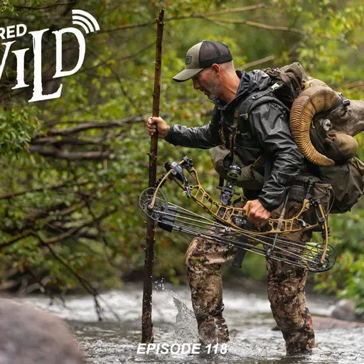 EP. 118 Colorado Bighorn Sheep 2023 with Erich Kirsch - Part 1