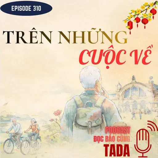 Trên những cuộc về