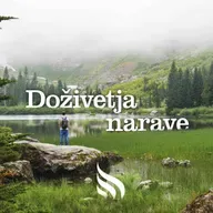 Razbijamo mite o mestnih gozdovih