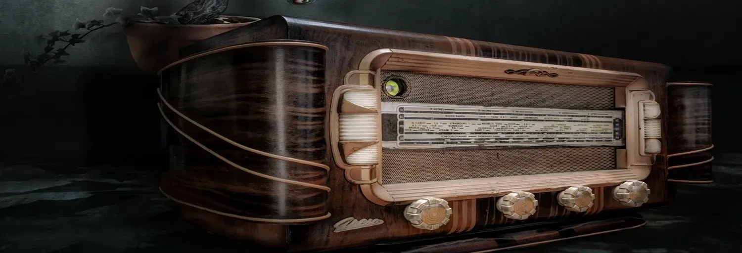 RADIO WEB DOG ARTS CUSTOMS