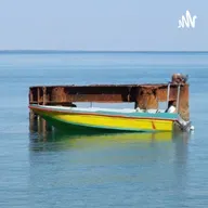 زنبور کوچولو