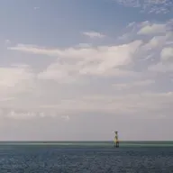 Warna Maret #TalkWithMe!