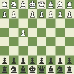 szpakuhot16
