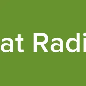 Bat Radio