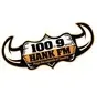 100.9 HANK FM - WXIZ