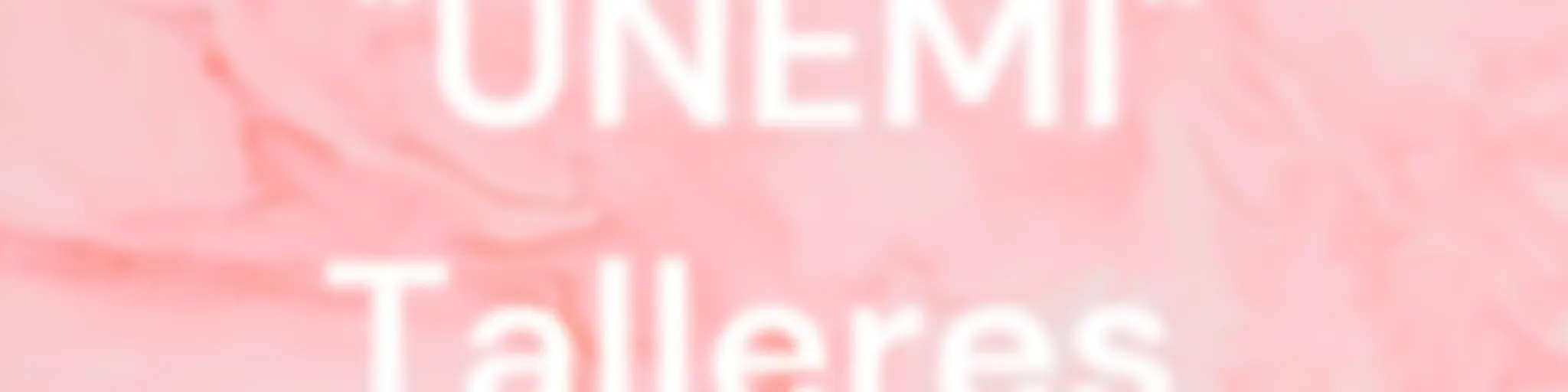  "UNEMI" Talleres 