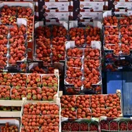 ‘What to Eat Now’ And Navigating Healthy Foods