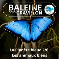 S07E83 La Planète bleue 2/6 : Les animaux bleus