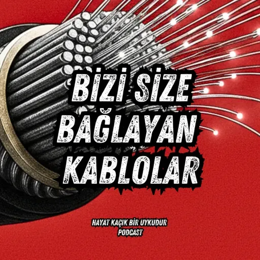 #346 İnternet: Bizi Birbirimize Bağlayan Sualtı Kabloları