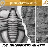 159. Toledodiscus valverdi