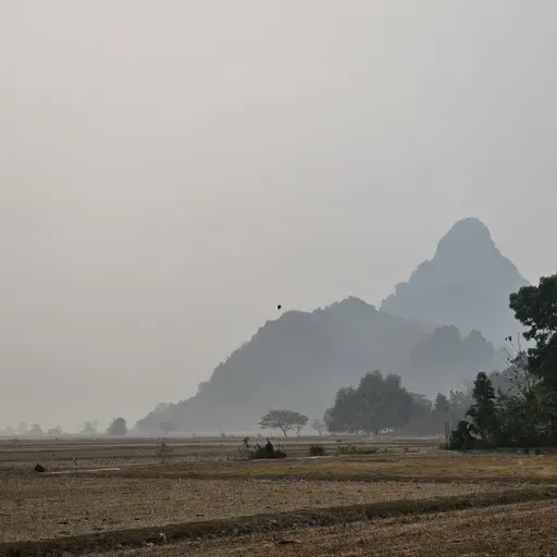 ขับรถไปนอนที่ตีนเขา