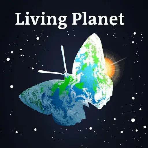 Bill McKibben: One big thing is going right