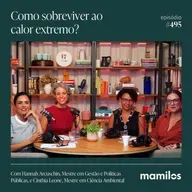 Onda de calor mata, e agora?
