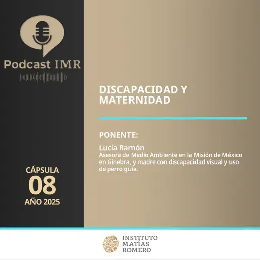 Cápsula IMR - Discapacidad y maternidad