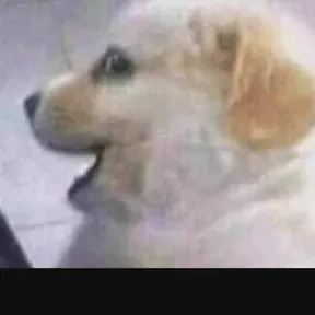 JAJAJAJAJ