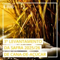 Clima adverso impacta produção de cana estimada pela Conab em 666,4 milhões de toneladas na safra 2025/26