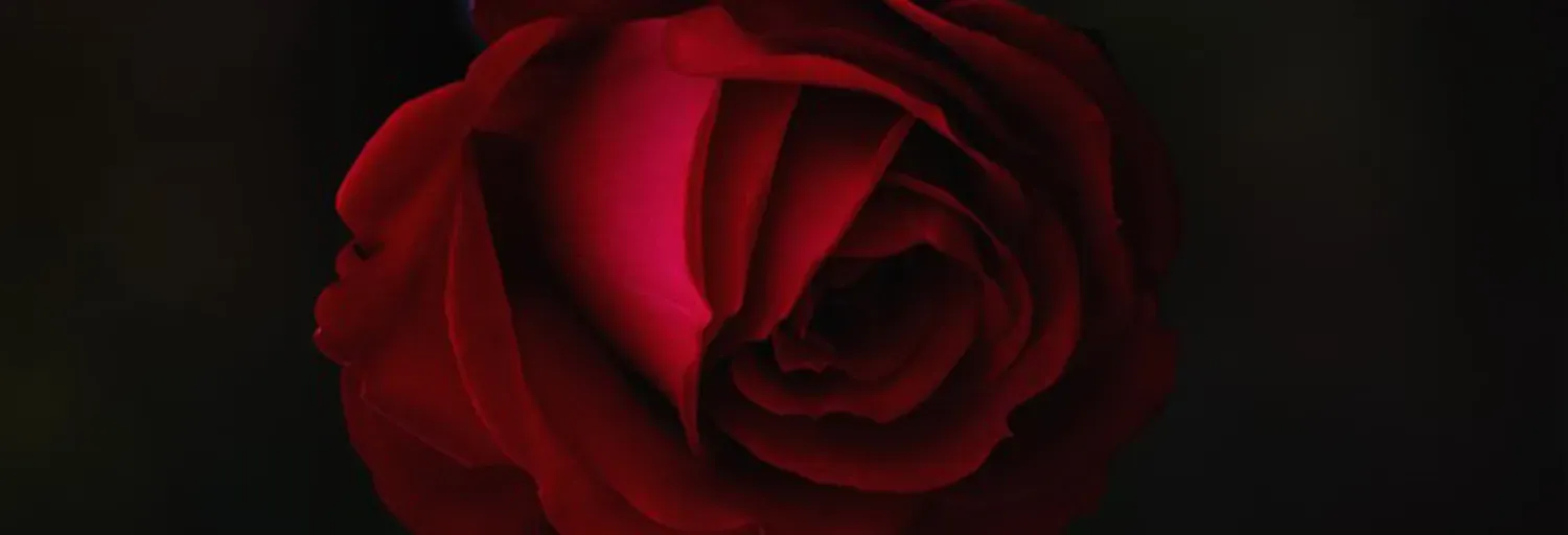 BlackRose