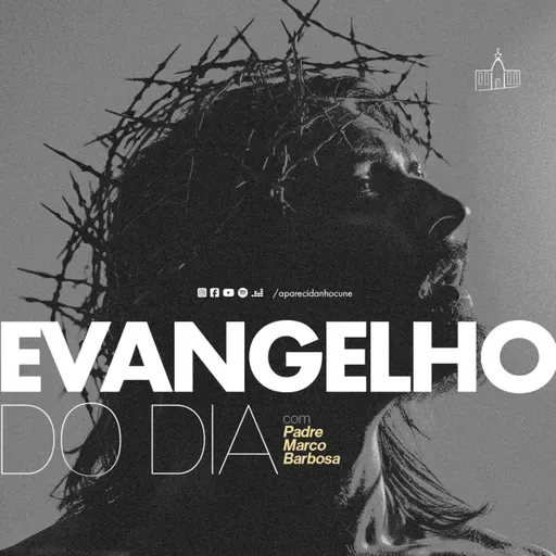 Evangelho do dia 08/12/2025