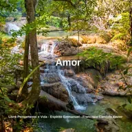 Pensamento e Vida - Cap. 30. Amor