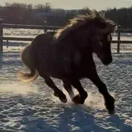 273 - Det startet så bra