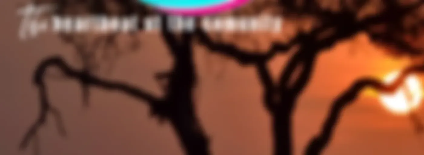 OVER NIGHT DRIVE SHOW