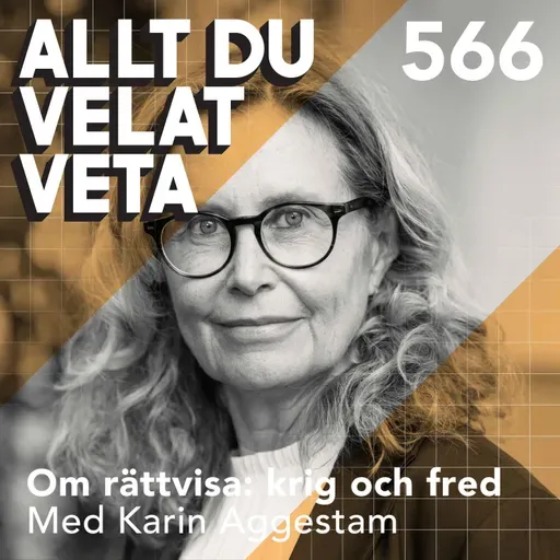 566 Om rättvisa: krig och fred med Karin Aggestam