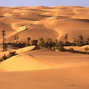 Agua en el Desierto