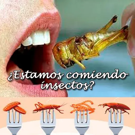 "Siete Luces, para un cambio de conciencia // Secretos de la comida procesada y su peligro"(T11-P30)