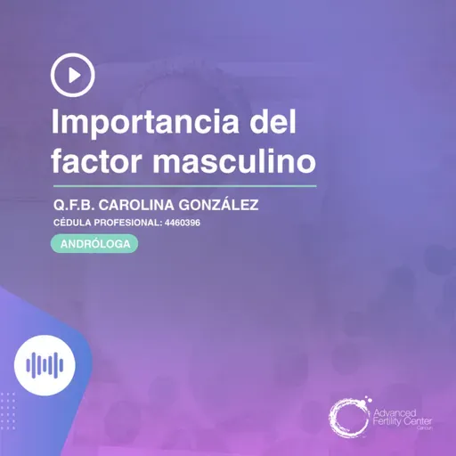 E138 - Importancia del factor masculino 