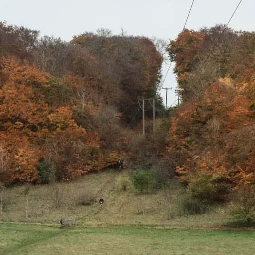 Weekly News 11. WW50 Preview, GPT100, Tunnel Hill, Age Group Records