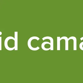 David camargo