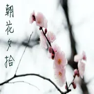 【朝花夕拾】春风定义了花香-NJ言杉
