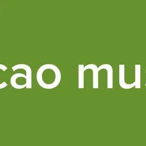 estacao musical