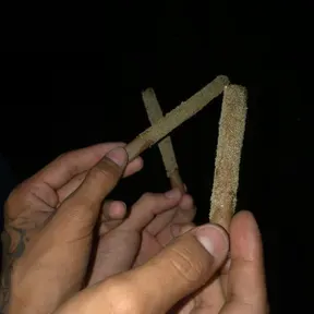 DAWRIN FLOW