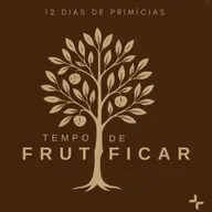 A Frutificação e as Sementes de um Fruto - 12 de 12