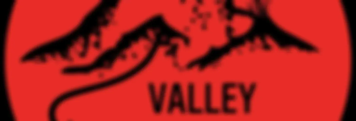 Valley Sports Plug Podcasts ๐