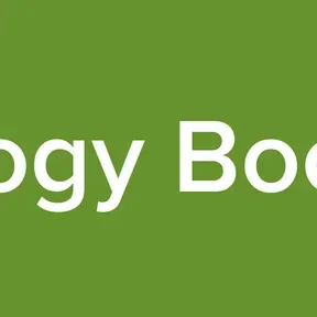 Boogy Boogy
