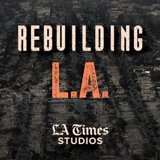 Introducing: Rebuilding L.A.