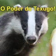 As Cartas Xamânicas, os Animais e seu Poder- O Texugo