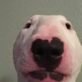 Gordão