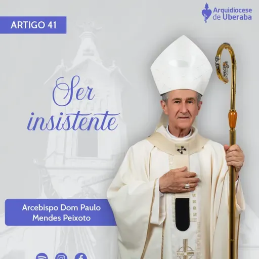 Artigo Dom Paulo #40 - Ser insistente