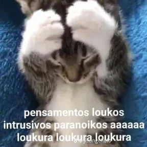 testezinho paia