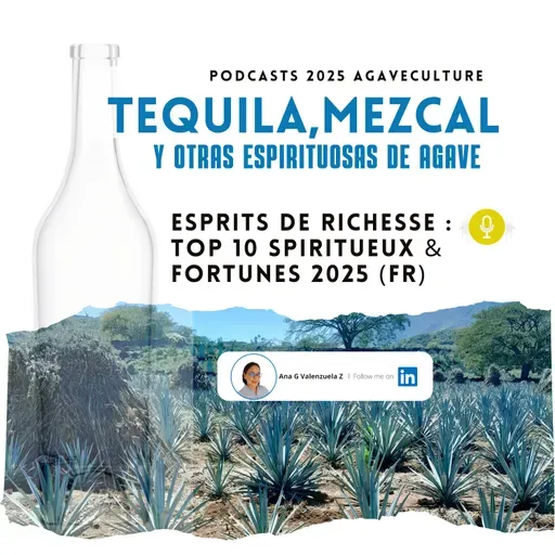 Esprits de Richesse : Top 10 Spiritueux & Fortunes 2025