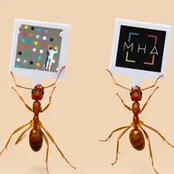 EP 173. Cooperando con Moisés Hamui