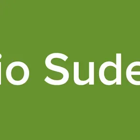 Radio Sudestar