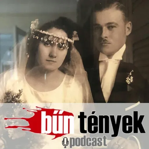 BŰNtények dokumentum@A veszprémi apósgyilkosság