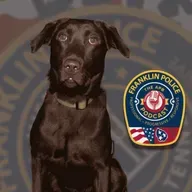 Episode 16- The Police K-9