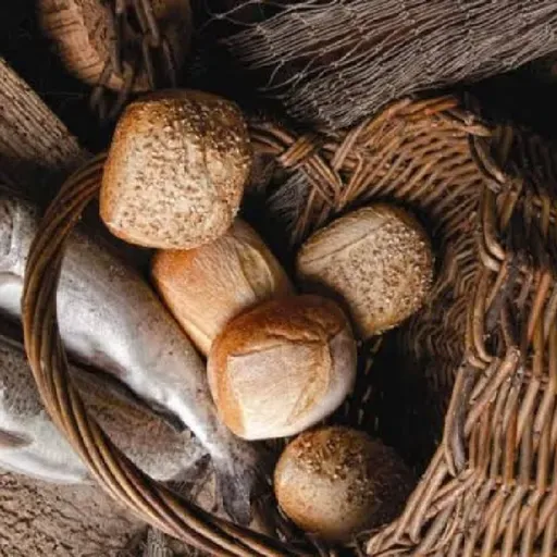 Ensinamento_aos_filhos_sabedoria.mp3