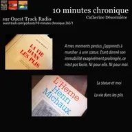 10 Minutes Chronique Henri Michaux #1